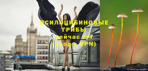 мяу мяу кристалл Алексин