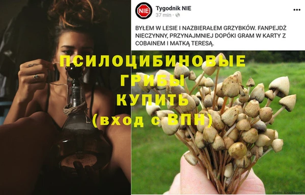 мяу мяу кристалл Алексин